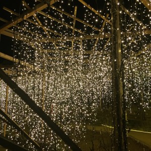 電飾の雨