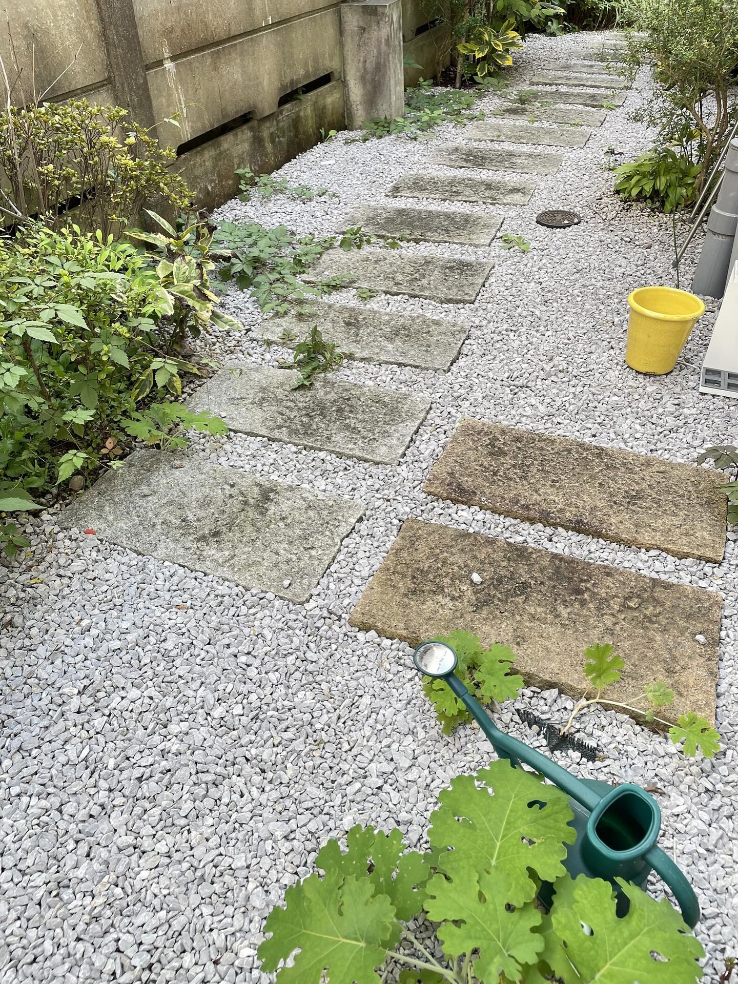 いいお天気が続いていますね☀
あまりにも太陽が降り注ぎ続けているので、毎日お庭の植木にお水をあげるのが日課になりました🌳
朝のうちに水をあげるよりも、夕方の涼しくなった時間にあげるほうが良いそうです✨
前日の夕方にたっぷりお水をあげても、翌日の夕方にはすっかり乾ききっています。
太陽の力ってすごいですよね…!
去年の夏前に気に入って買った紫陽花の鉢植えも、ちゃんと花を摘み取って来年に備える準備を始めました。
今年は花が咲いてくれたけど、来年も咲いてくれるといいなぁ。
なんて思いながら水を撒いていると、夕方でもしっかり汗をかいてしまいました…。
植木だけでなく人間もしっかり水分をとらないとなぁ😫
まだまだ夏は長そうですね。
wabi_sabi_house__official
Wabi Sabi House Jiyugaoka
わびさびハウス自由ヶ丘
✨️待望の空室です!!✨️
自由ヶ丘にたたずむデザイナーズシェアハウス♬
詳しくはVR内覧へGo!!!!
https://www.wabisabihouse.jp/houses/jiyugaoka/
お問い合わせはこちら
https://www.wabisabihouse.jp/contact/
#リノベーション, #新規入居キャンペーン, #フリーレント #シェアハウス #国際交流 #東京 #留学 #仲間 #sharehouse #welcomeparty #farewellparty #異業種交流 #coliving #innovation #わびさびハウス中野富士見町 #自由が丘 #自分磨き #自分探し #国内留学 #わびさびハウス #わびさびハウス自由が丘 #わびさびハウスoff中野 #わびさびハウスoff中野アネックス #わびさびハウスoff自由が丘 #暮らし #学び,