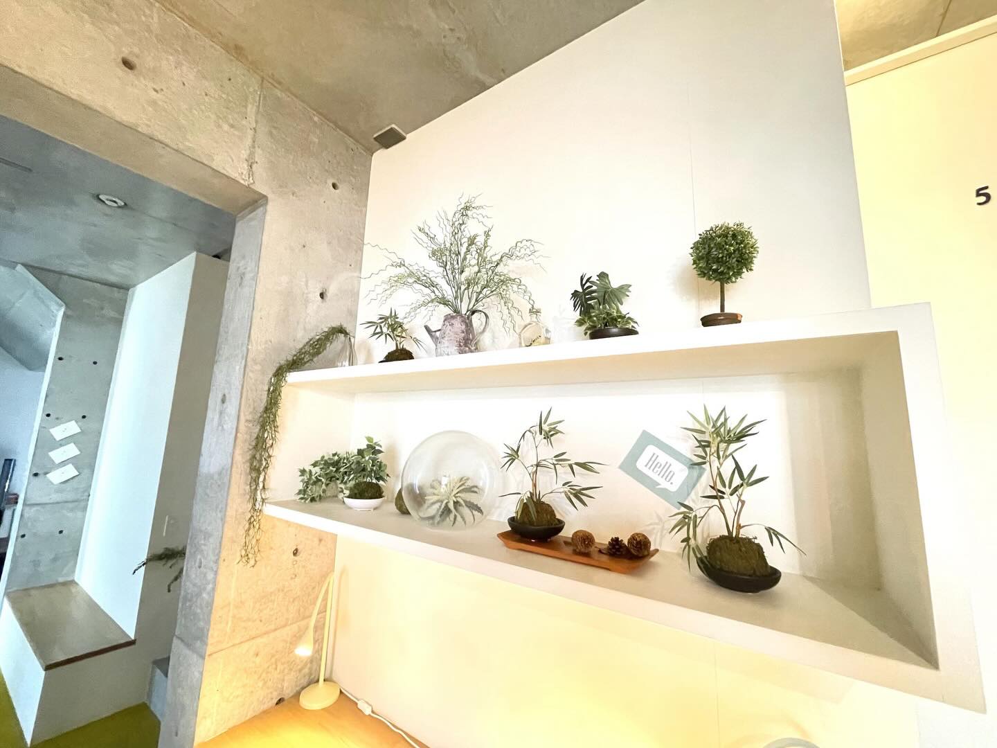 4月も下旬になって、少しずつ生活のリズムが落ち着いてきたこの頃。
リビングにある観葉植物も、なんだかのびのびして見えます🌿
最初のバタバタが過ぎて、ふと目に入るこういう緑に、ちょっと癒やされる時間が増えてきました。
ちゃんと世話しているつもりはないのに、気づくと誰かが水をあげていたりして、いつの間にかいい状態が保たれているのもこの家らしいところ☺️
ゆるりとした雰囲気の中で育つ植物は、より一層穏やかな顔をしている気がします💕
特別なことはないけれど、こういう穏やかな日常が続いていくのが、なんだか心地いいなと感じています🌿✨ 

wabi_sabi_house__official
Wabi Sabi House Jiyugaoka
わびさびハウス自由ヶ丘

✨️待望の空室です！！✨️ 
自由ヶ丘にたたずむデザイナーズシェアハウス♬

詳しくはVR内覧へGo！！！！
https://www.wabisabihouse.jp/houses/jiyugaoka/
お問い合わせはこちら
https://www.wabisabihouse.jp/contact/

#シェアハウス #国際交流 #東京 #留学 #仲間