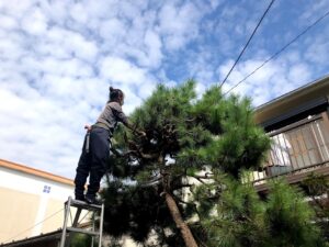 年に2回の1回目