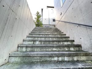 体を動かす春