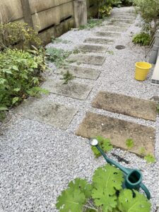 水やり必須